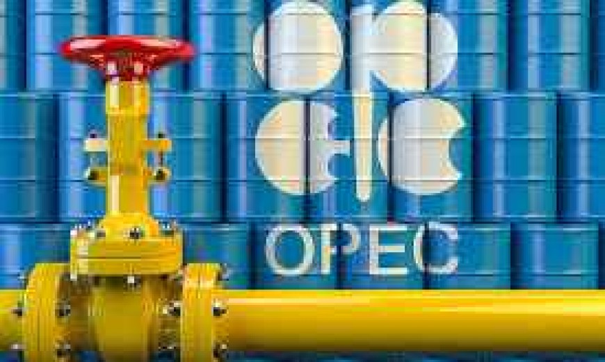 Diplomația în sprijinul economiei globale: acordul OPEC+, sprijinit teoretic de G20